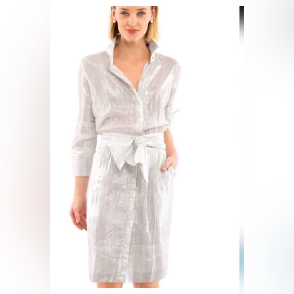 Gretchen Scott Designs Silver Metallic NWOT dress size XL with pockets